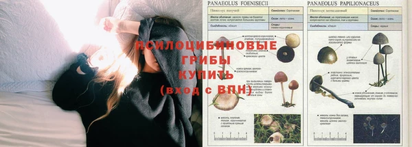 амф Михайловка