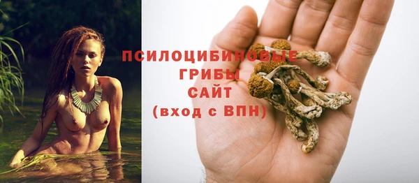 амф Михайловка