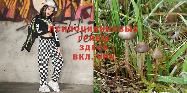 MESCALINE Михайловск