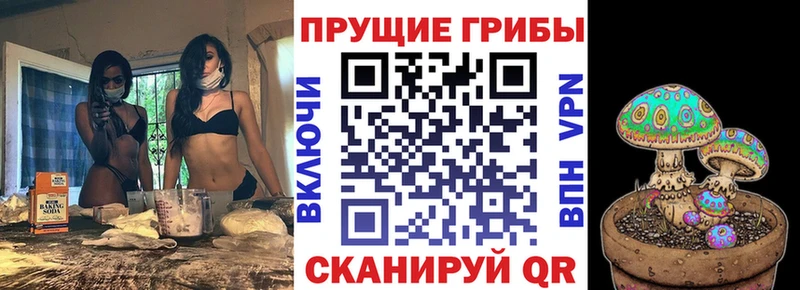 Галлюциногенные грибы GOLDEN TEACHER  где купить наркоту  ОМГ ОМГ зеркало  Барнаул 